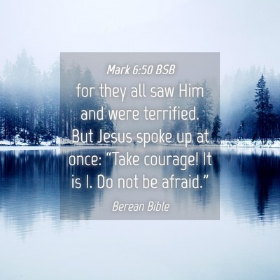 Picture 04 - Mark 6:50 BSB - for they all saw Him and were terrified. But - Bible Verse Picture