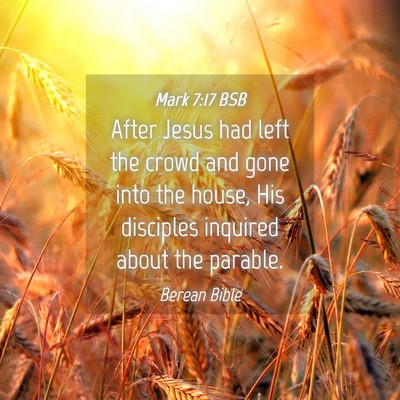 Picture 04 - Mark 7:17 BSB - After Jesus had left the crowd and gone into the - Bible Verse Picture