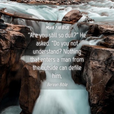 Picture 04 - Mark 7:18 BSB - “Are you still so dull?” He asked. “Do you - Bible Verse Picture