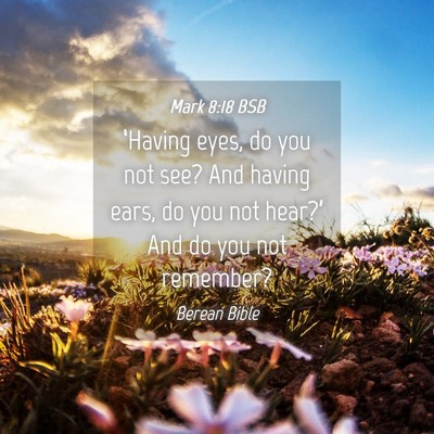 Picture 04 - Mark 8:18 BSB - ‘Having eyes, do you not see? And having ears, - Bible Verse Picture