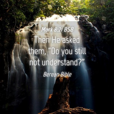 Picture 04 - Mark 8:21 BSB - Then He asked them, “Do you still not - Bible Verse Picture