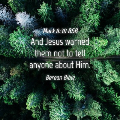 Picture 04 - Mark 8:30 BSB - And Jesus warned them not to tell anyone about - Bible Verse Picture