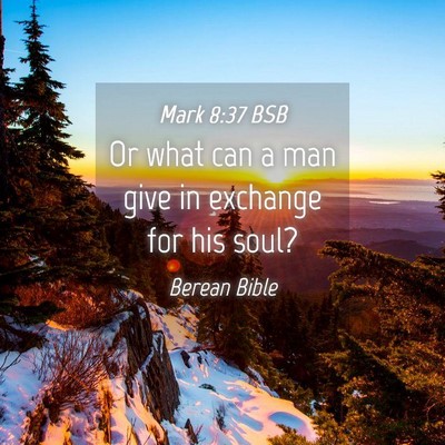 Picture 04 - Mark 8:37 BSB - Or what can a man give in exchange for his - Bible Verse Picture