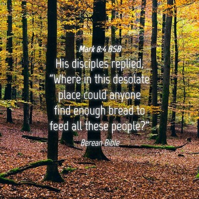Picture 04 - Mark 8:4 BSB - His disciples replied, “Where in this desolate - Bible Verse Picture