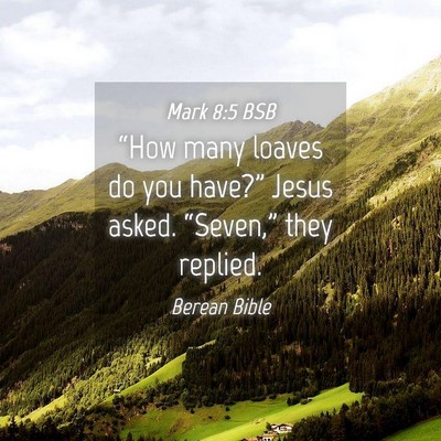 Picture 04 - Mark 8:5 BSB - “How many loaves do you have?” Jesus asked. - Bible Verse Picture
