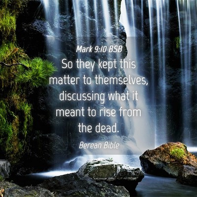 Picture 04 - Mark 9:10 BSB - So they kept this matter to themselves, - Bible Verse Picture