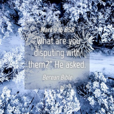 Picture 04 - Mark 9:16 BSB - “What are you disputing with them?” He - Bible Verse Picture