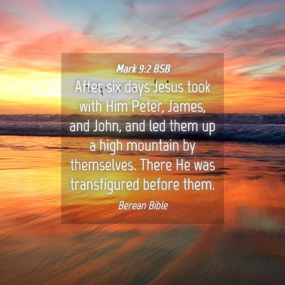 Picture 04 - Mark 9:2 BSB - After six days Jesus took with Him Peter, James, - Bible Verse Picture