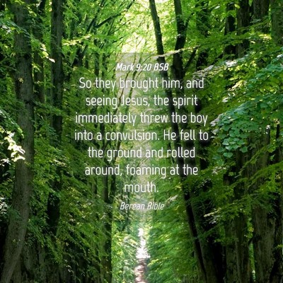Picture 04 - Mark 9:20 BSB - So they brought him, and seeing Jesus, the spirit - Bible Verse Picture