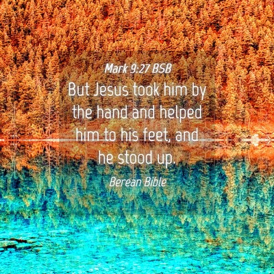 Picture 04 - Mark 9:27 BSB - But Jesus took him by the hand and helped him to - Bible Verse Picture