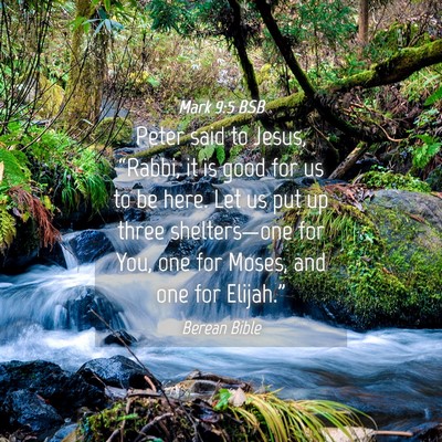Picture 04 - Mark 9:5 BSB - Peter said to Jesus, “Rabbi, it is good for us - Bible Verse Picture
