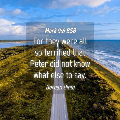 Picture 04 - Mark 9:6 BSB - For they were all so terrified that Peter did not - Bible Verse Picture