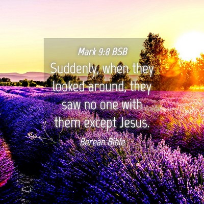 Picture 04 - Mark 9:8 BSB - Suddenly, when they looked around, they saw no - Bible Verse Picture