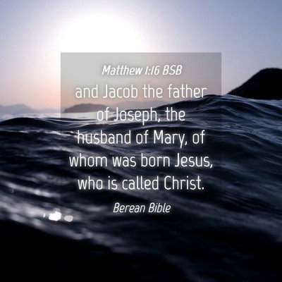 Picture 04 - Matthew 1:16 BSB - and Jacob the father of Joseph, the husband of - Bible Verse Picture