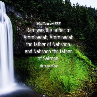 Picture 04 - Matthew 1:4 BSB - Ram was the father of Amminadab, Amminadab the - Bible Verse Picture