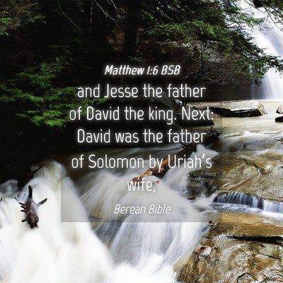 Picture 04 - Matthew 1:6 BSB - and Jesse the father of David the king. Next: - Bible Verse Picture