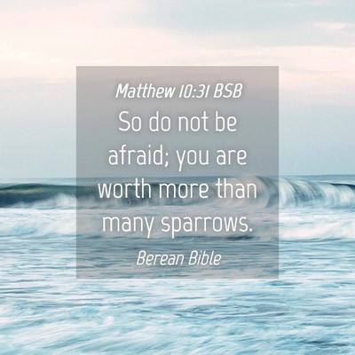 Picture 04 - Matthew 10:31 BSB - So do not be afraid; you are worth more than many - Bible Verse Picture