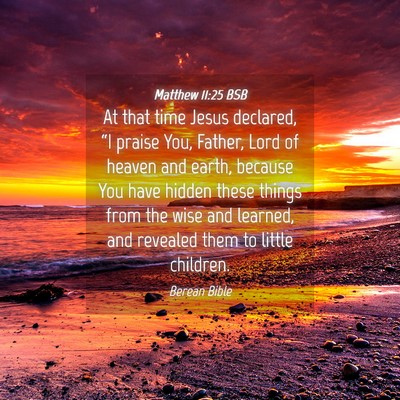 Picture 04 - Matthew 11:25 BSB - At that time Jesus declared, “I praise You, - Bible Verse Picture