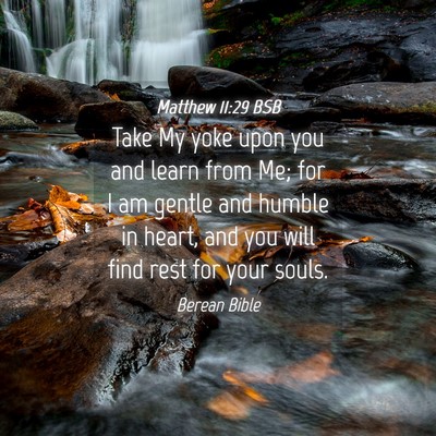 Picture 04 - Matthew 11:29 BSB - Take My yoke upon you and learn from Me; for I am - Bible Verse Picture