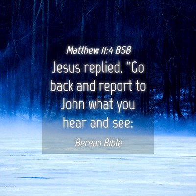 Picture 04 - Matthew 11:4 BSB - Jesus replied, “Go back and report to John what - Bible Verse Picture