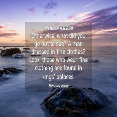 Picture 04 - Matthew 11:8 BSB - Otherwise, what did you go out to see? A man - Bible Verse Picture