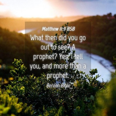 Picture 04 - Matthew 11:9 BSB - What then did you go out to see? A prophet? Yes, - Bible Verse Picture