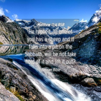 Picture 04 - Matthew 12:11 BSB - He replied, “If one of you has a sheep and it - Bible Verse Picture