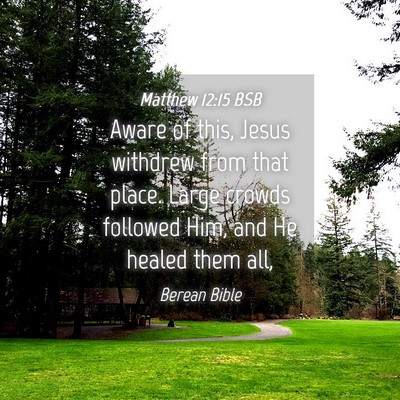 Picture 04 - Matthew 12:15 BSB - Aware of this, Jesus withdrew from that place. - Bible Verse Picture