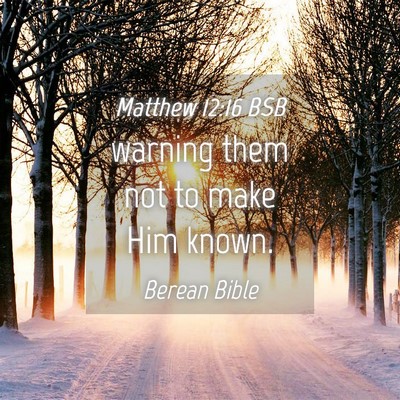 Picture 04 - Matthew 12:16 BSB - warning them not to make Him - Bible Verse Picture