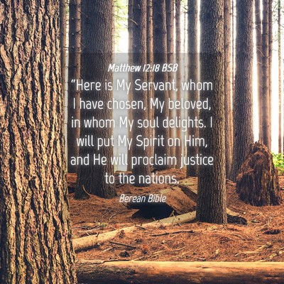 Picture 04 - Matthew 12:18 BSB - “Here is My Servant, whom I have chosen, My - Bible Verse Picture