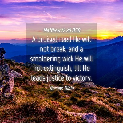 Picture 04 - Matthew 12:20 BSB - A bruised reed He will not break, and a - Bible Verse Picture