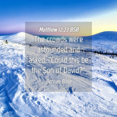 Picture 04 - Matthew 12:23 BSB - The crowds were astounded and asked, “Could - Bible Verse Picture