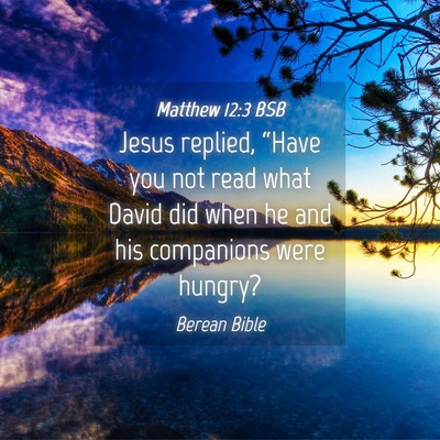 Picture 04 - Matthew 12:3 BSB - Jesus replied, “Have you not read what David - Bible Verse Picture