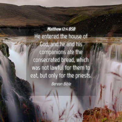 Picture 04 - Matthew 12:4 BSB - He entered the house of God, and he and his - Bible Verse Picture