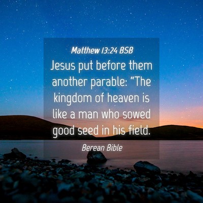 Picture 04 - Matthew 13:24 BSB - Jesus put before them another parable: “The - Bible Verse Picture