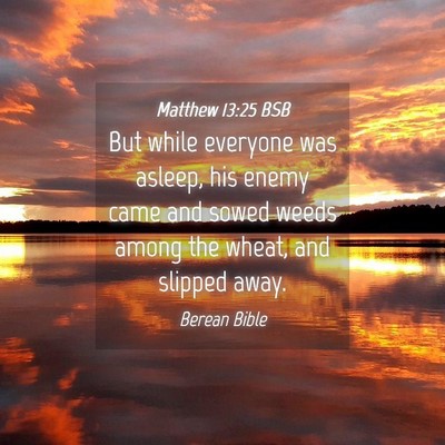Picture 04 - Matthew 13:25 BSB - But while everyone was asleep, his enemy came and - Bible Verse Picture