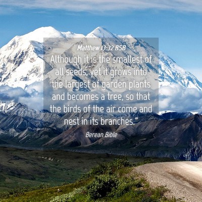 Picture 04 - Matthew 13:32 BSB - Although it is the smallest of all seeds, yet it - Bible Verse Picture