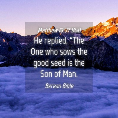 Picture 04 - Matthew 13:37 BSB - He replied, “The One who sows the good seed is - Bible Verse Picture