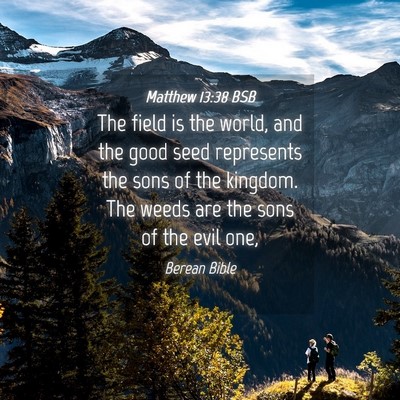 Picture 04 - Matthew 13:38 BSB - The field is the world, and the good seed - Bible Verse Picture