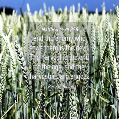 Picture 04 - Matthew 13:39 BSB - and the enemy who sows them is the devil. The - Bible Verse Picture