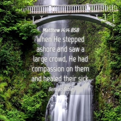Picture 04 - Matthew 14:14 BSB - When He stepped ashore and saw a large crowd, He - Bible Verse Picture