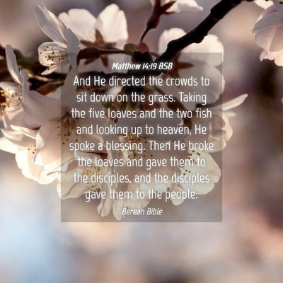 Picture 04 - Matthew 14:19 BSB - And He directed the crowds to sit down on the - Bible Verse Picture
