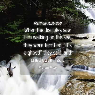 Picture 04 - Matthew 14:26 BSB - When the disciples saw Him walking on the sea, - Bible Verse Picture