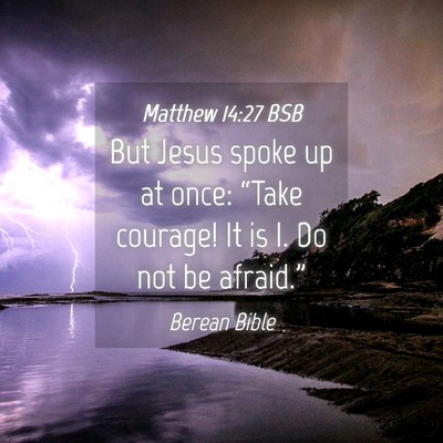 Picture 04 - Matthew 14:27 BSB - But Jesus spoke up at once: “Take courage! It - Bible Verse Picture