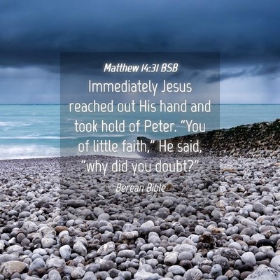 Picture 04 - Matthew 14:31 BSB - Immediately Jesus reached out His hand and took - Bible Verse Picture