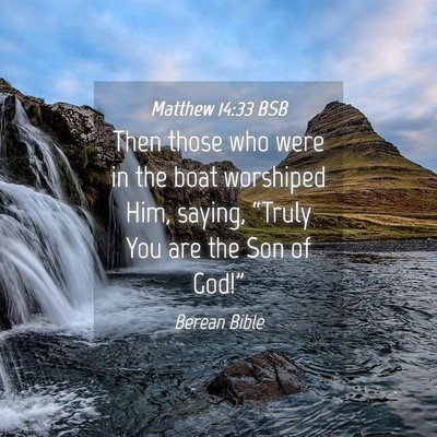 Picture 04 - Matthew 14:33 BSB - Then those who were in the boat worshiped Him, - Bible Verse Picture