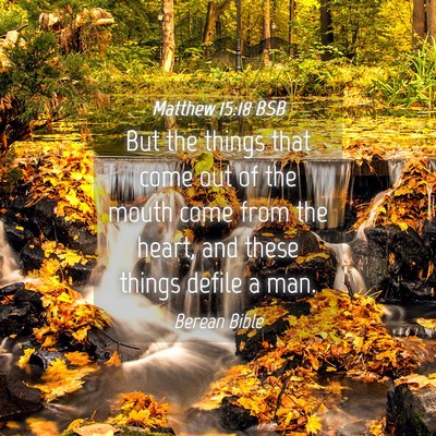 Picture 04 - Matthew 15:18 BSB - But the things that come out of the mouth come - Bible Verse Picture