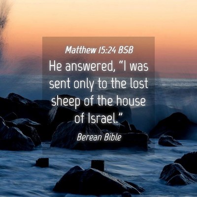Picture 04 - Matthew 15:24 BSB - He answered, “I was sent only to the lost sheep - Bible Verse Picture