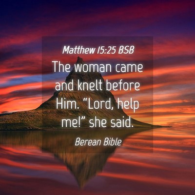 Picture 04 - Matthew 15:25 BSB - The woman came and knelt before Him. “Lord, - Bible Verse Picture