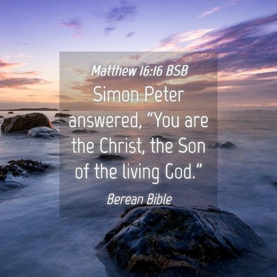 Picture 04 - Matthew 16:16 BSB - Simon Peter answered, “You are the Christ, the - Bible Verse Picture